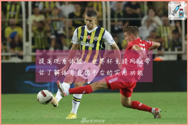 提高观看体验，世界杯竞猜网址带你了解体育直播平台的实用功能