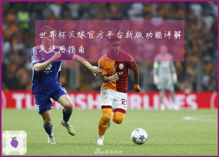 世界杯买球官方平台新版功能详解及使用指南