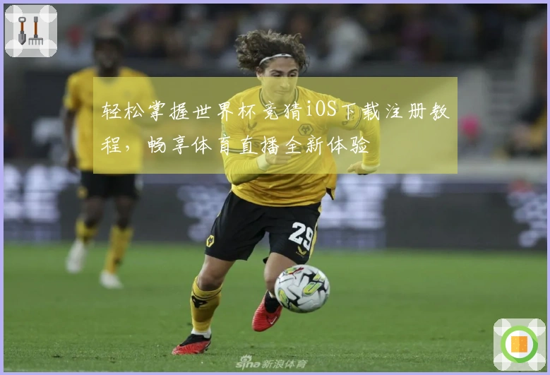 轻松掌握世界杯竞猜iOS下载注册教程，畅享体育直播全新体验