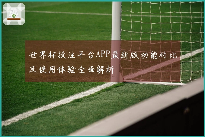 世界杯投注平台APP最新版功能对比及使用体验全面解析