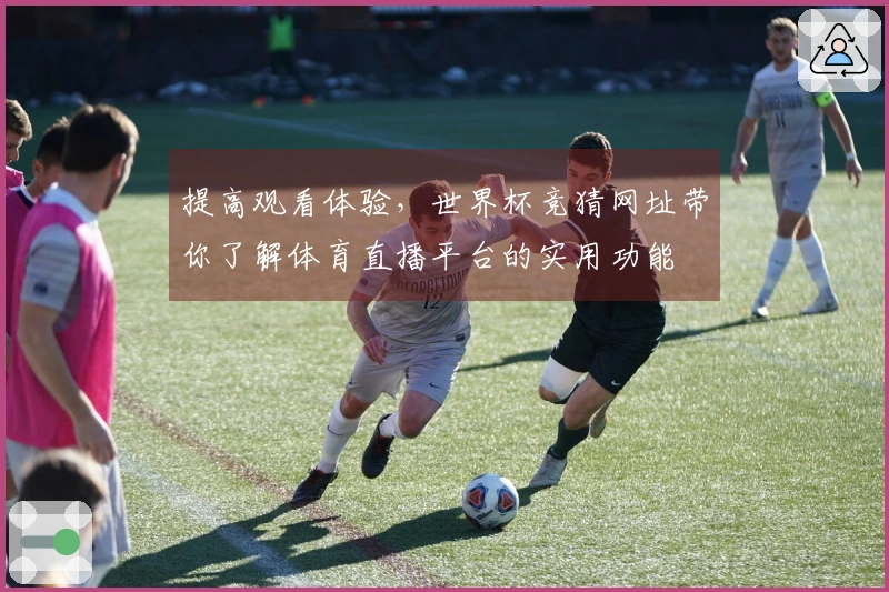提高观看体验，世界杯竞猜网址带你了解体育直播平台的实用功能