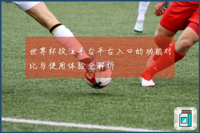 世界杯投注平台平台入口的功能对比与使用体验全解析