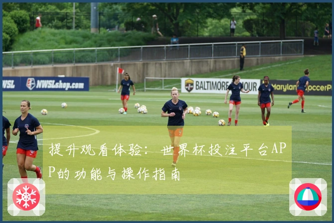 提升观看体验:世界杯投注平台APP的功能与操作指南