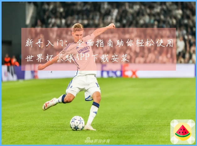新手入门：全面指南助你轻松使用世界杯买球APP下载安装