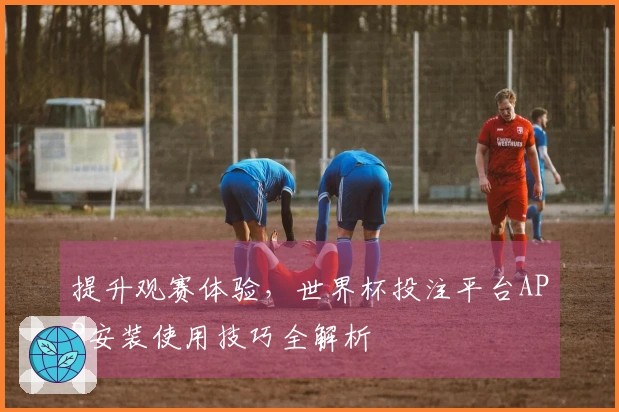 提升观赛体验,世界杯投注平台APP安装使用技巧全解析