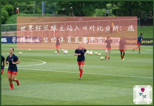 世界杯买球主站入口对比分析:选择适合你的体育直播平台